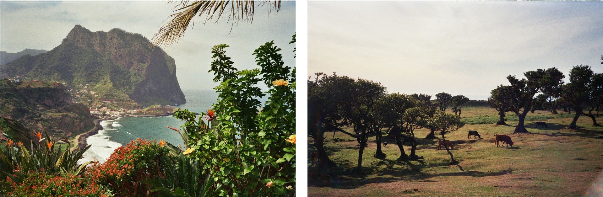 ERASMUS / MADEIRA project image 5