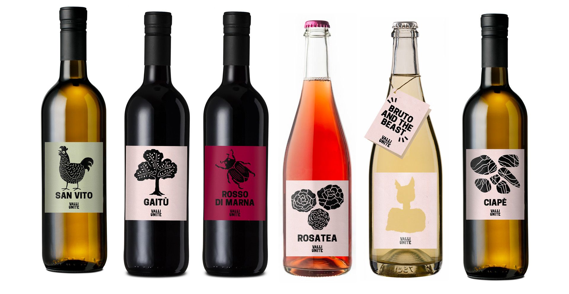 VALLI UNITE project image 7